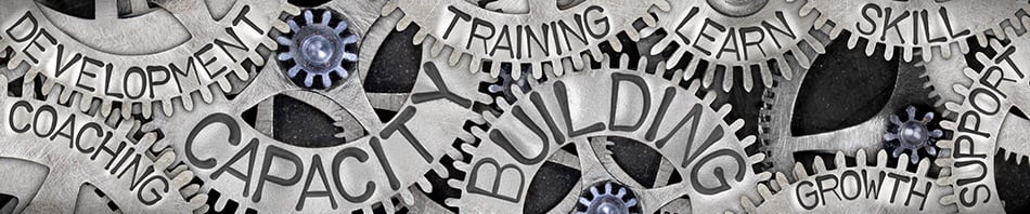 What are the Capacity Building Supports in my NDIS Plan?