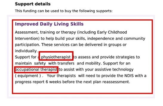 Sample NDIS plan showing stated capacity building
