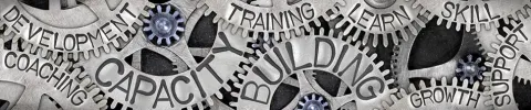 What are the Capacity Building Supports in my NDIS Plan?