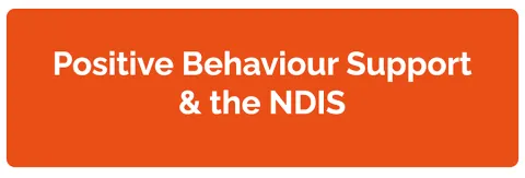 Webinar: Positive Behaviour Support & the NDIS